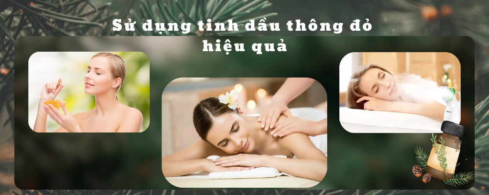 Cách sử dụng tinh dầu thông đỏ hiệu quả để tăng cường miễn dịch