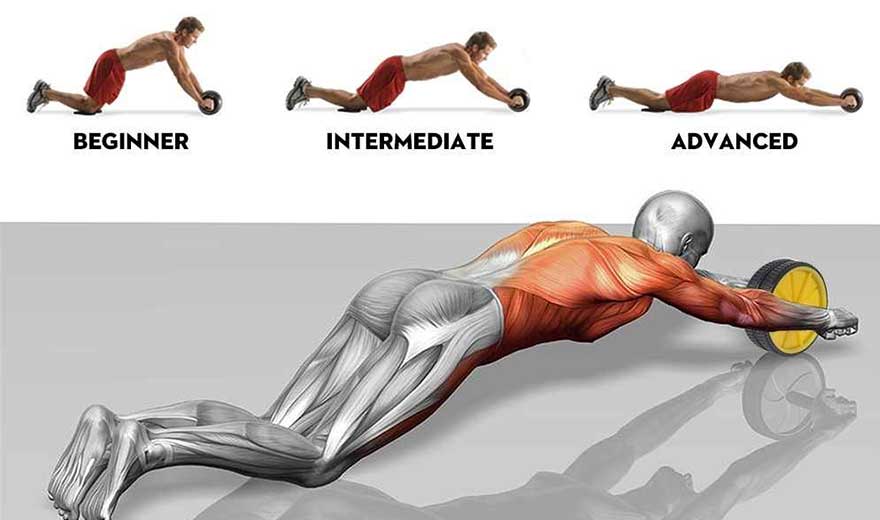 Tác động của con lăn tập bụng đến cơ bụng